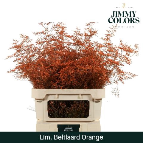 <h4>Lim Bel L90 Orange</h4>