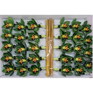 CYMB Stok 50 cm GREEN