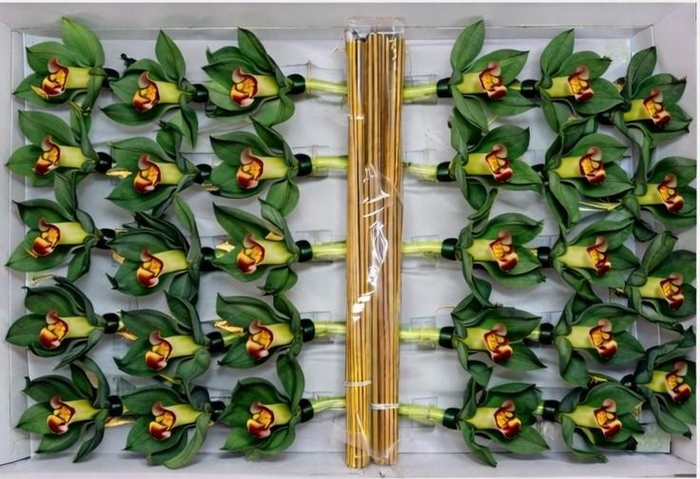 <h4>CYMB Stok 50 cm GREEN</h4>