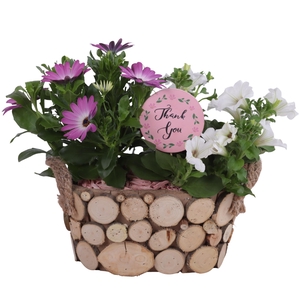 Mothersday Arr. Outdoor Wooden Pot Oval Tree Chucks Ø23cm 2PP