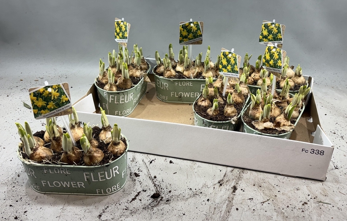 <h4>ARR N TETE A TETE</h4>