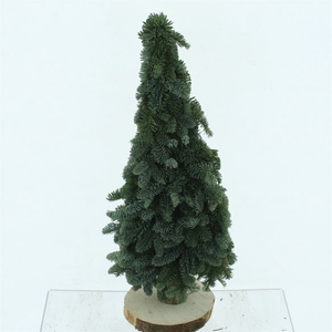 Nobilis Kerstboom Plat 50 Cm