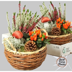 ARR GARDEN BASKET ORANGE X2