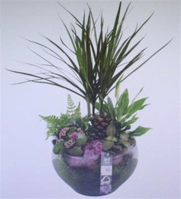 <h4>3408 PAARS BOWL DRAC</h4>