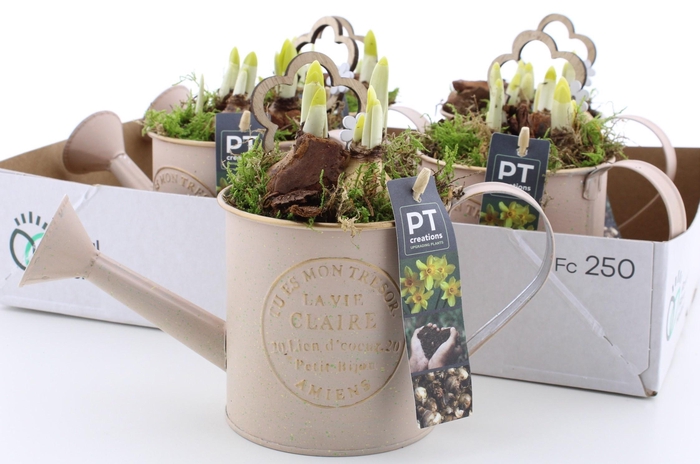 <h4>ARR N TETE A TETE</h4>