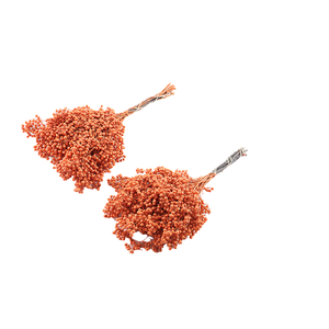 Pepperberry Tangerine