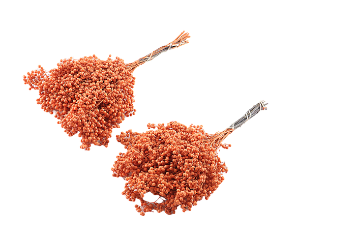 <h4>Pepperberry Tangerine</h4>