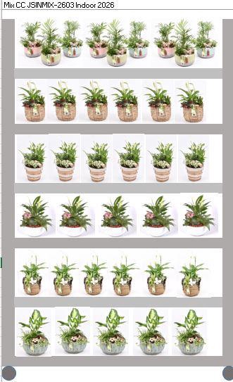 <h4>Mix CC JSINMIX-2603</h4>