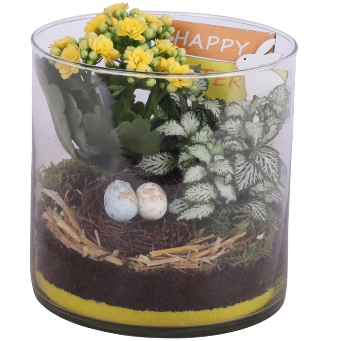 <h4>Easter Arr. Indoor Glass Vase Cylinder Ø15cm 2PP</h4>