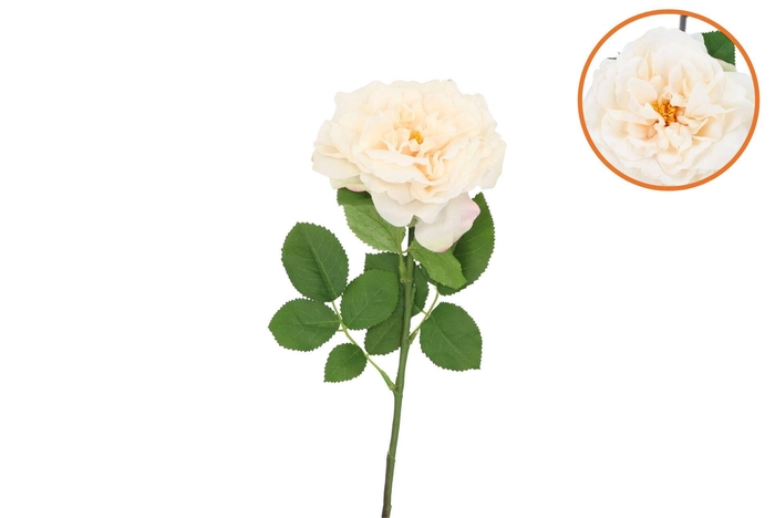 Silk Wild Rose Cream Single 65cm