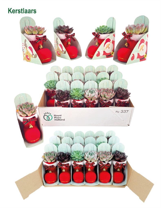 <h4>Arr. Kerst L%</h4>