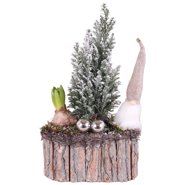 <h4>Christmas Arr.Outdoor Wooden Pot oval bark salim ø20cm 2PP</h4>