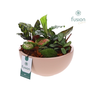 Schaal keramiek Moon Large blush pink met groene planten