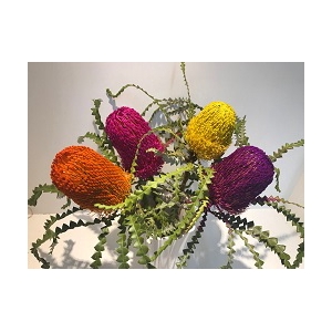 Banksia Tint Mix