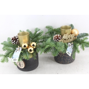 arr5 Kerst JS - Ker. potje black/gold x6
