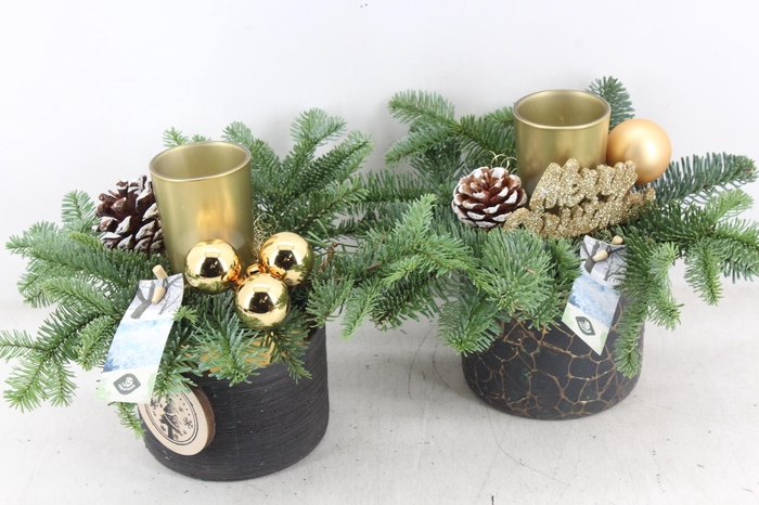 <h4>arr5 Kerst JS - Ker. potje black/gold x6</h4>