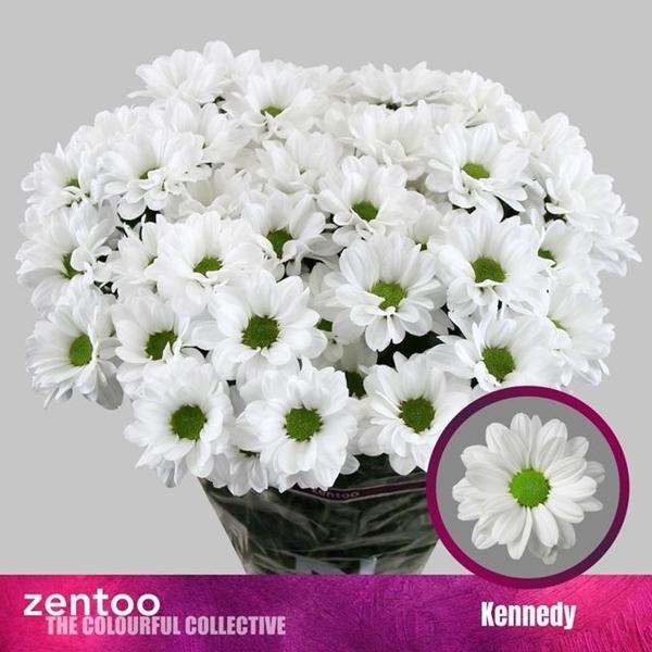 <h4>CHR T KENNEDY</h4>