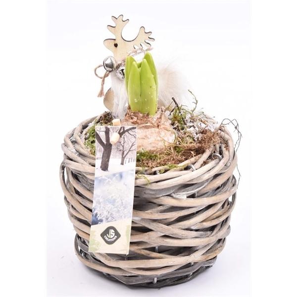 <h4>Wilg mand grijs 12cm</h4>