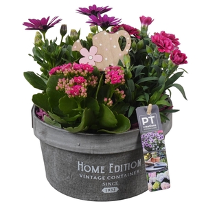 PTPP7016 Arrangement Patio in houten bak