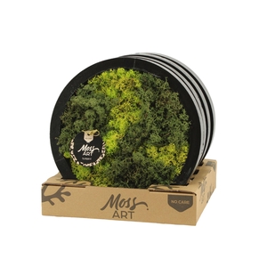 90789: Moss Art Round D27