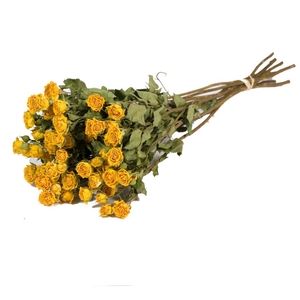 Roses Spray Natural Yellow