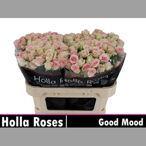 R TR GOOD MOOD