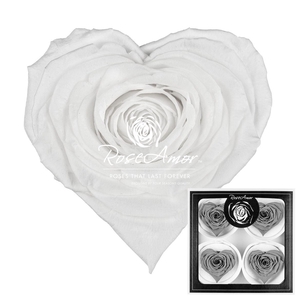 Corazon Bella Whi01
