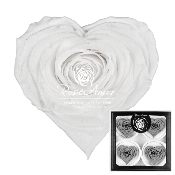 <h4>Corazon Bella Whi01</h4>