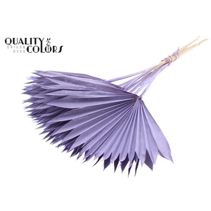 Sun Spear per stem Frosted Milka