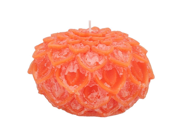 Candle Dahlia Orange 12x8cm