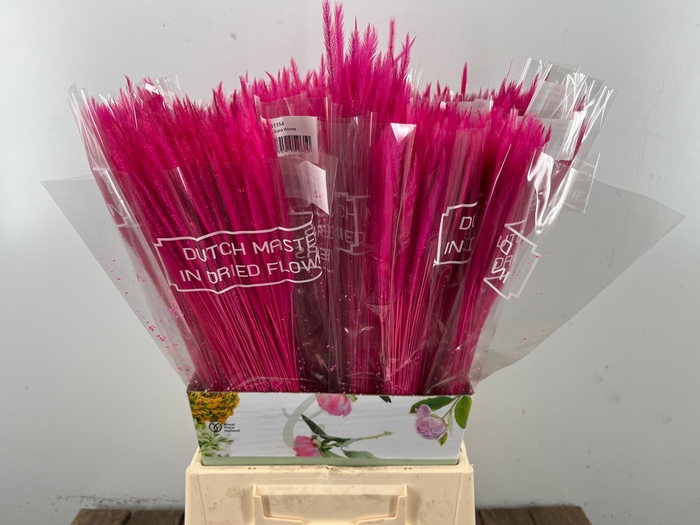 <h4>DROOGBL BEWERKT H%</h4>