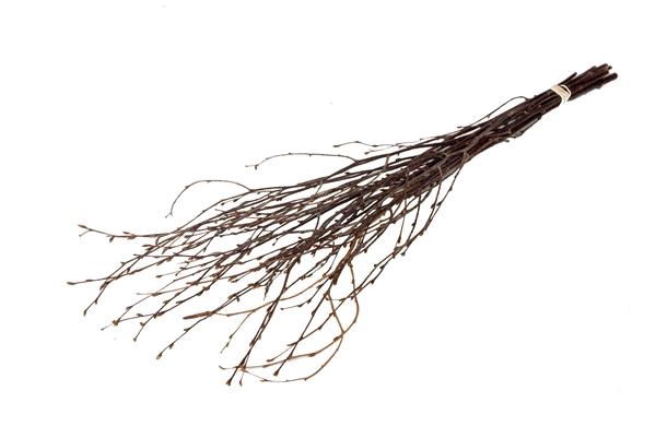 <h4>Birch 75cm Natural</h4>