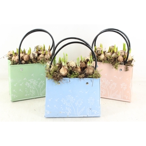 arr4 Bollenmix MB - Zink handbag pastel mix