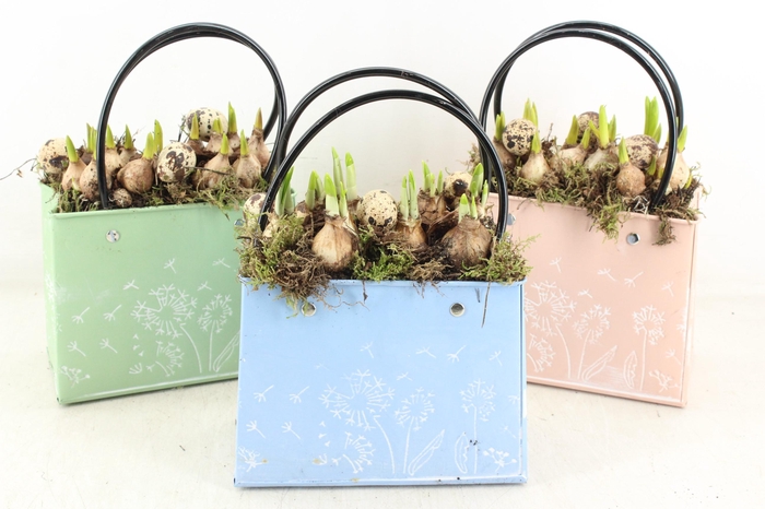 <h4>arr4 Bollenmix MB - Zink handbag pastel mix</h4>