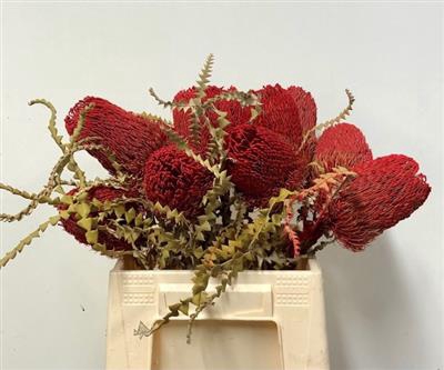 <h4>DROOG BANKSIA SPECIO</h4>