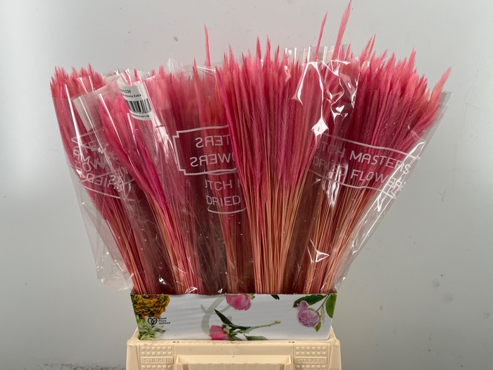 <h4>DROOGBL BEWERKT H%</h4>