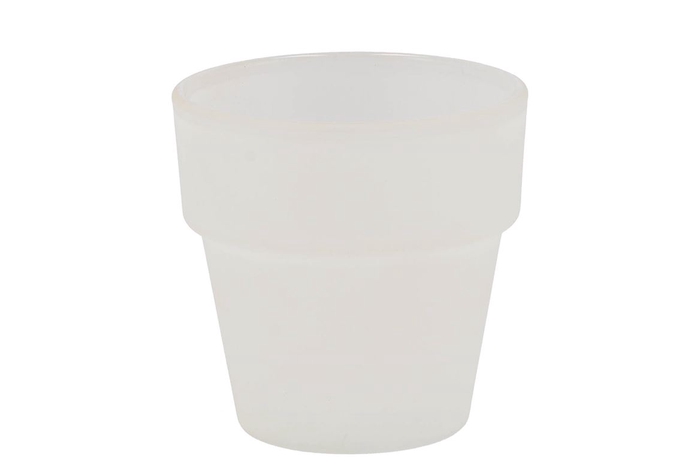 <h4>Waxine Basic Frosted 7cm</h4>