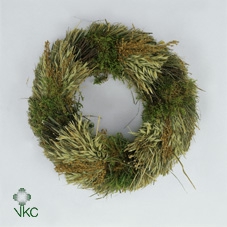 <h4>Krans Mos Bonsai Salix 30cm</h4>