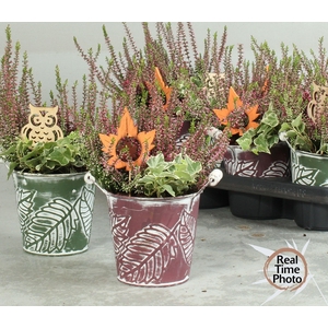 ARR TUINPLANTEN