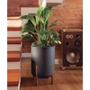 VASO CILINDRICO DECORE 33 CHUMBO