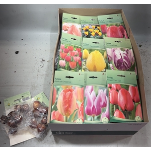BLOEMBOL TULIPA