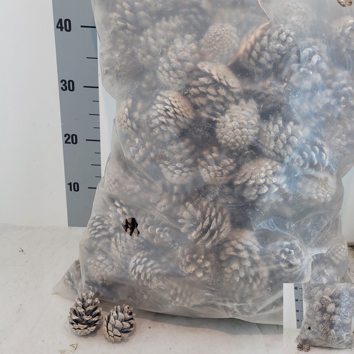 <h4>HUIS EN TUINDECO OV</h4>