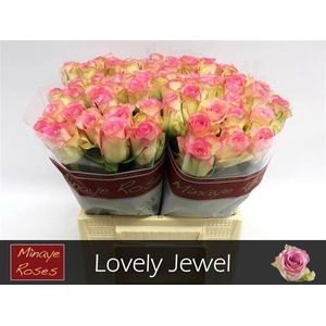 R GR LOVELY JEWEL