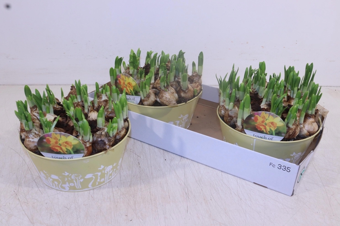 <h4>ARR N TETE A TETE</h4>