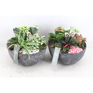 arr2 MB - Keramiek rock - roze/wit