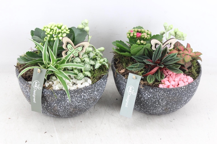 <h4>arr2 MB - Keramiek rock - roze/wit</h4>