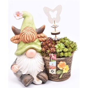 Cement kabouter 12/29x19cm/h31