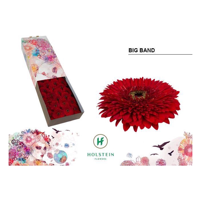 <h4>Ge Gb Gerp Big Band</h4>