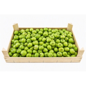 Sier Malusappel Flat Green Small P Box