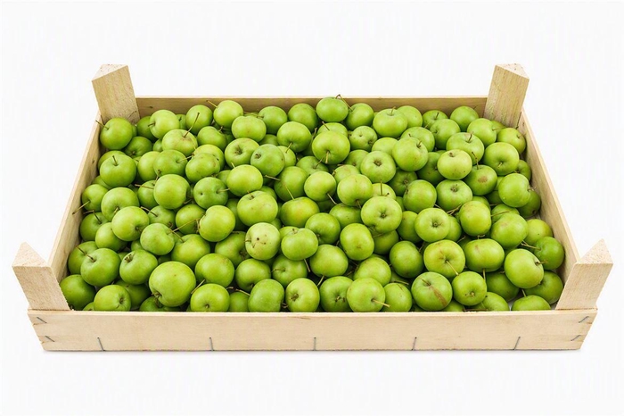 <h4>Sier Malusappel Flat Green Small P Box</h4>